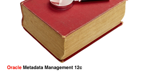 Oracle Metadata Management – Business Glossary